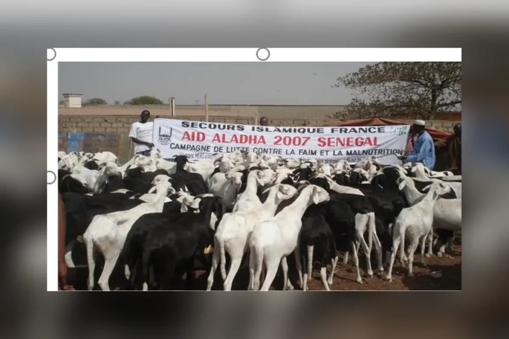 Nourrir les nécessiteux (Aïd El Adha)