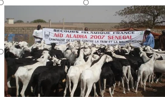 Nourrir les nécessiteux (Aïd El Adha)